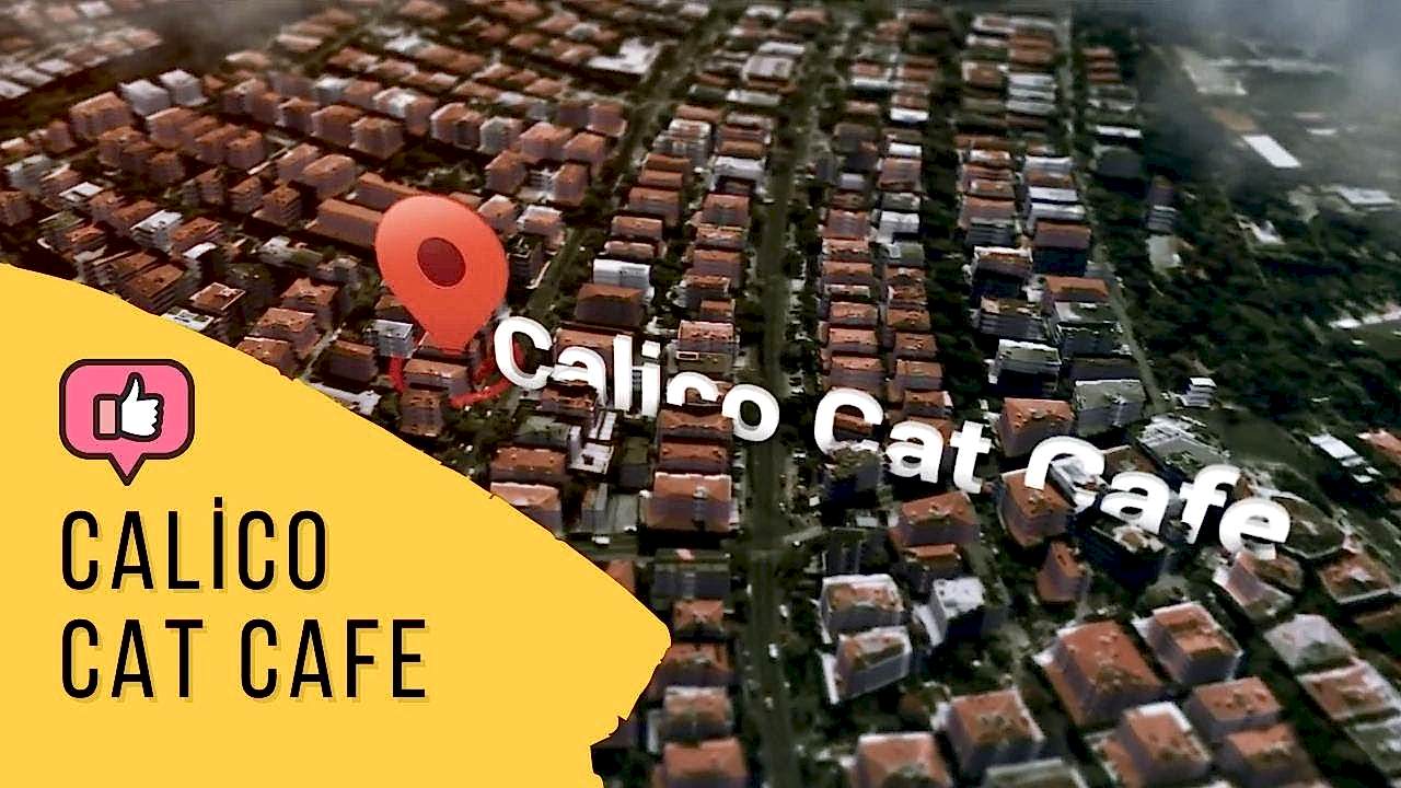 Calico Cafe Ankara