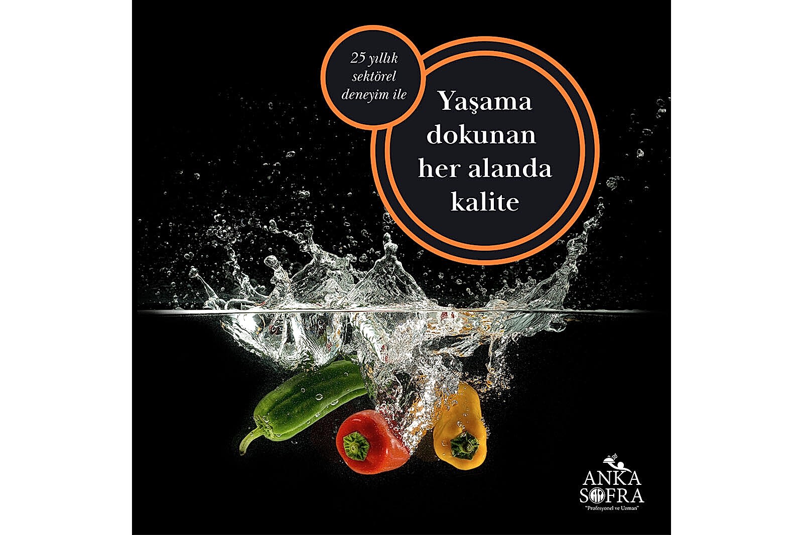 Anka Sofra Post Tasarımı